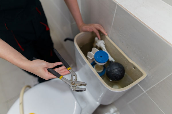Learn More About Toilet Repair